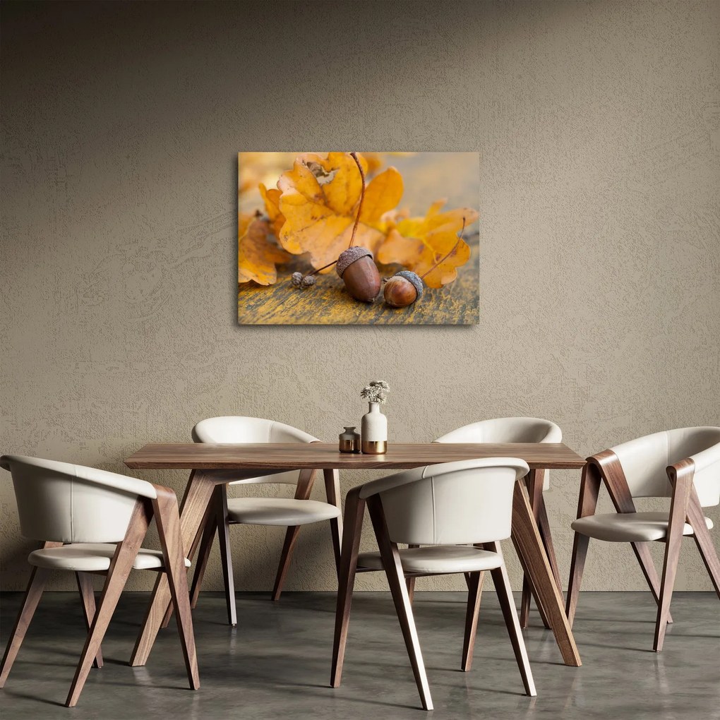 Obraz - Jesenné žalude (70x50 cm)