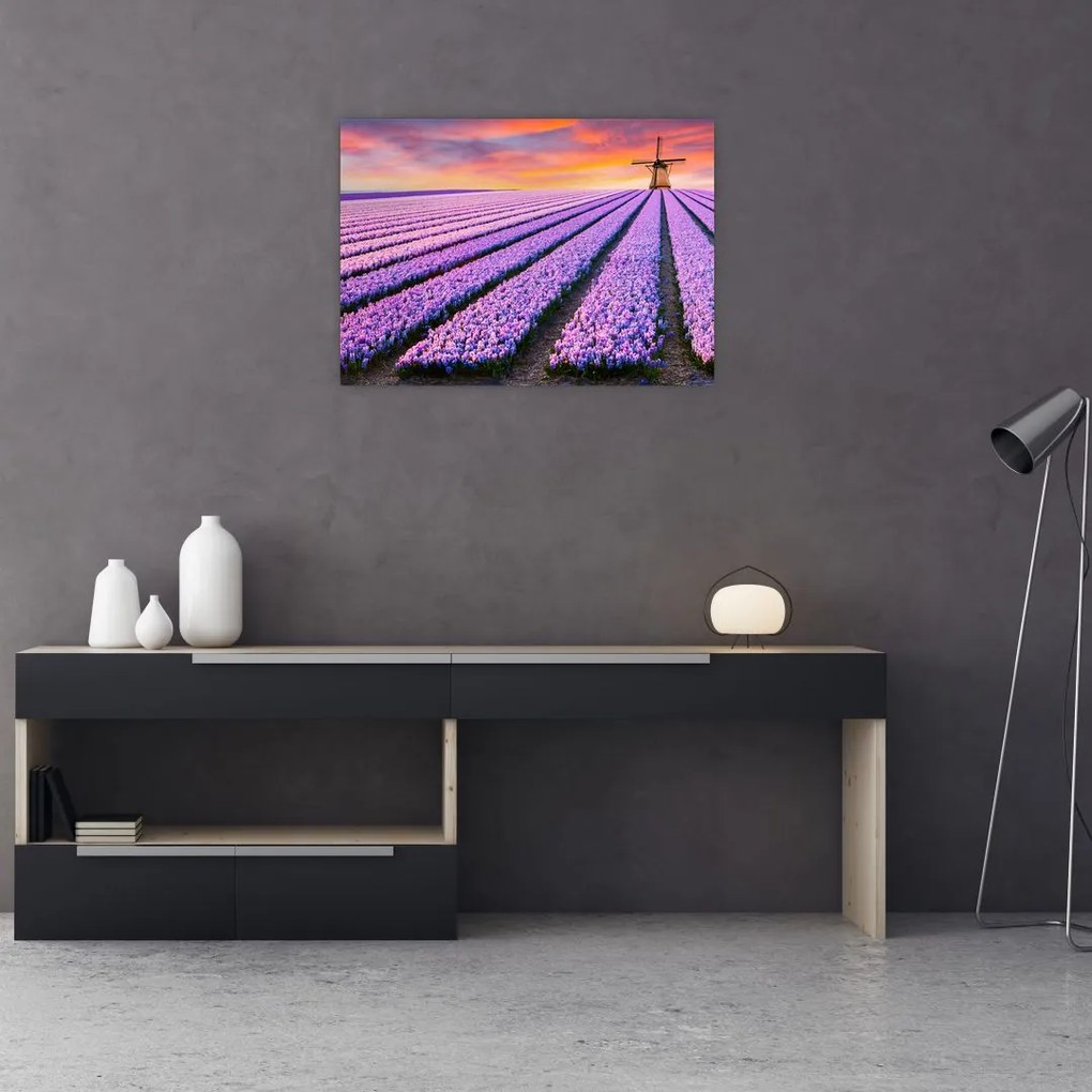 Sklenený obraz - kvetinová farma (70x50 cm)