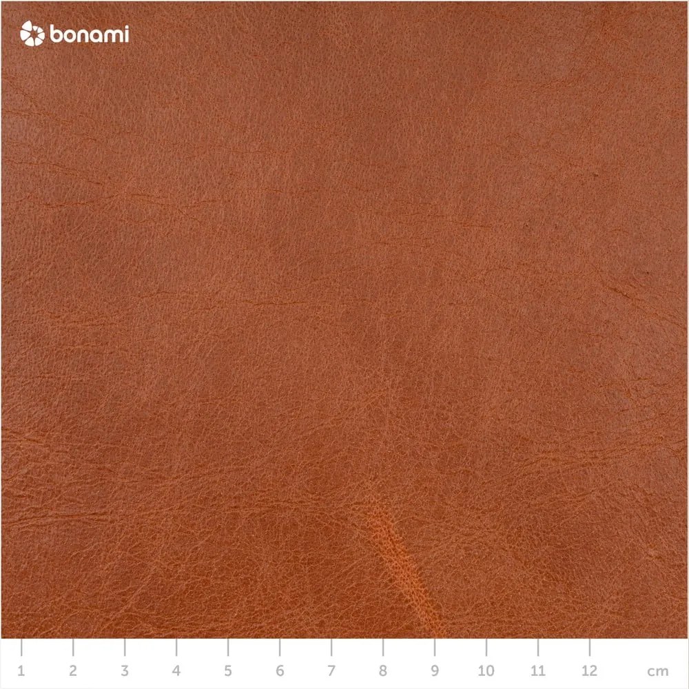 Červenohnedá kožená pohovka MESONICA Puzo, 240 cm