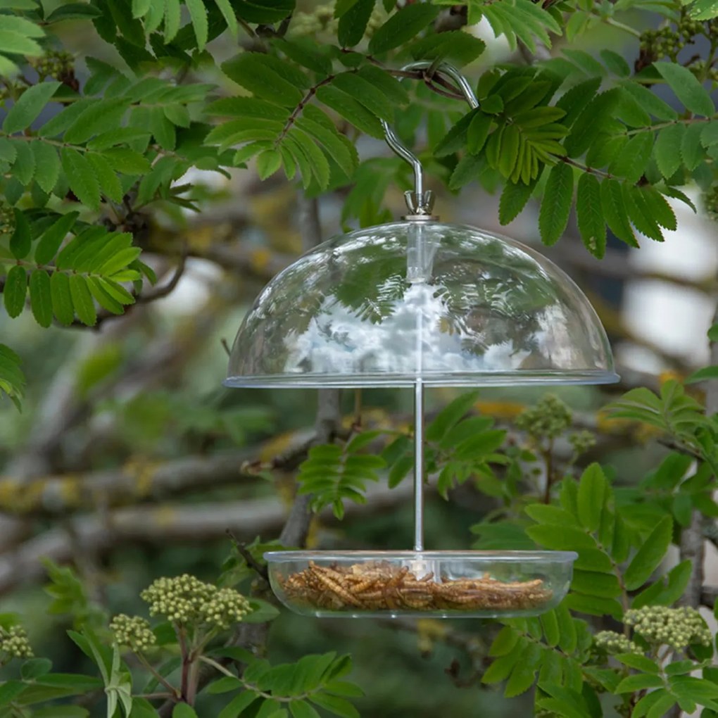 Závesné kŕmidlo pre vtáky Round, 21,5x15,5 cm, plast, transparentná