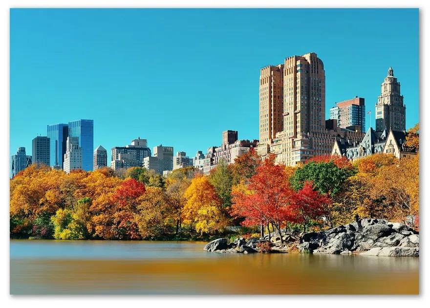 Foto obraz sklenený horizontálne New York jeseň pl-osh-100x70-f-70676089