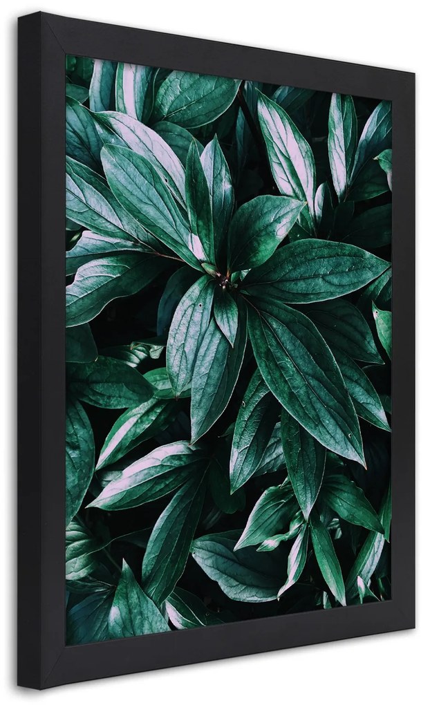 Gario Plagát Fascinujúce listy Farba rámu: Bez rámu, Rozmery: 30 x 45 cm