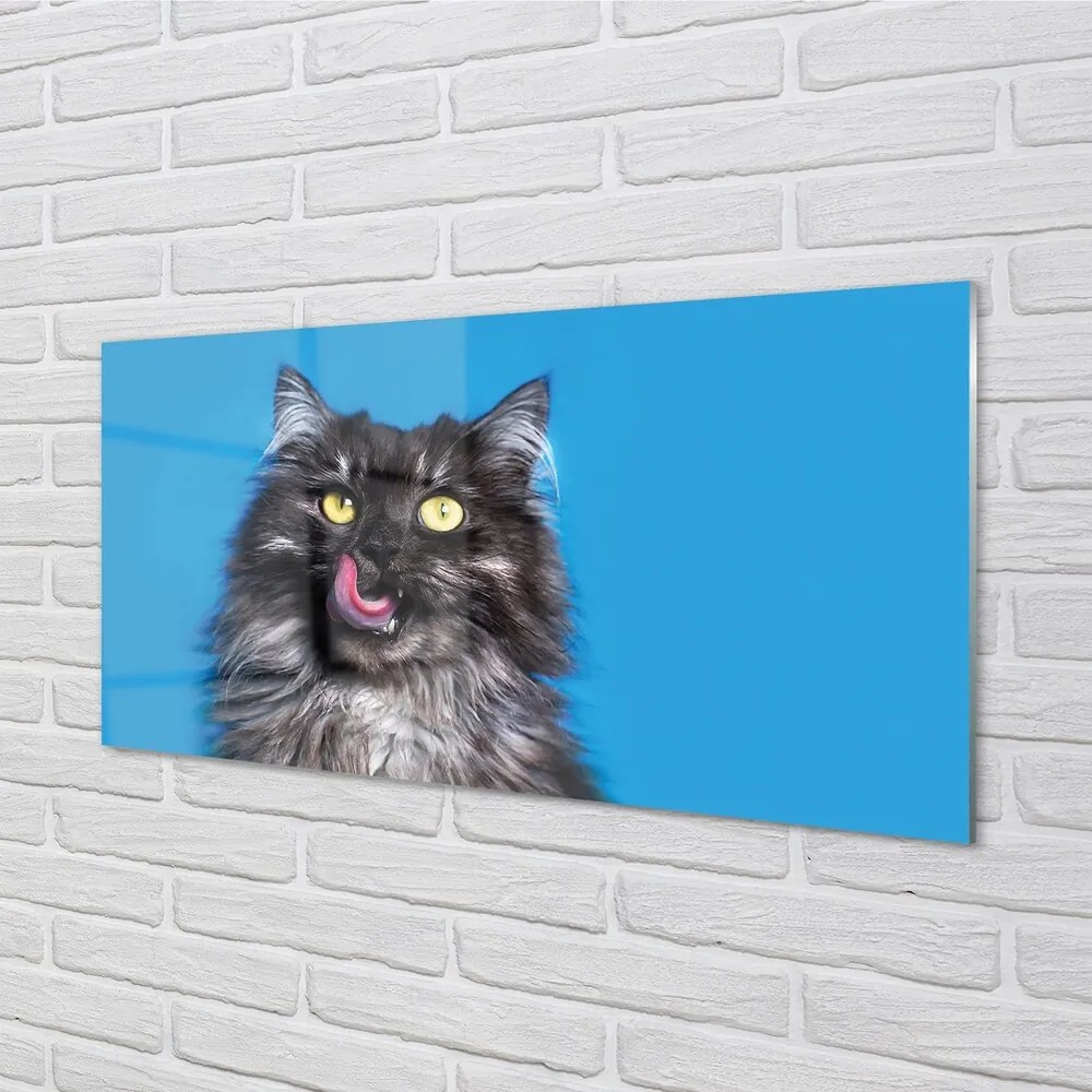 Sklenený obraz Oblizujący mačka 120x60 cm