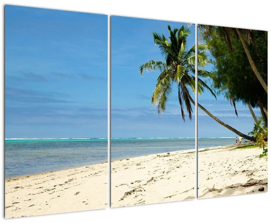 Fotka pláže - obraz