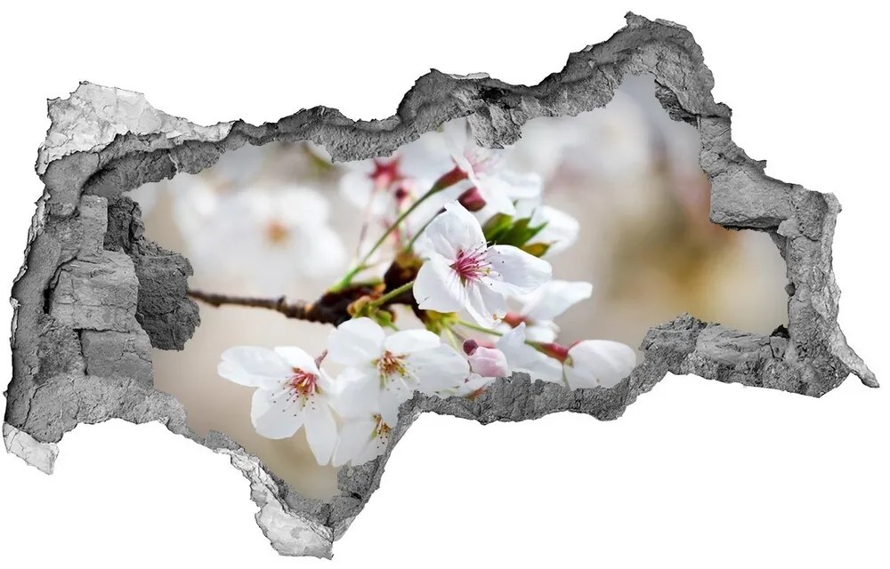 Samolepiaca nálepka na stenu Čerešňové kvety nd-b-100965392