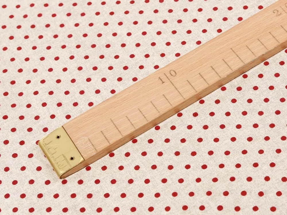 Biante Bavlnený obdĺžnikový obrus Sandra SA-025 Červené bodky 100x160 cm