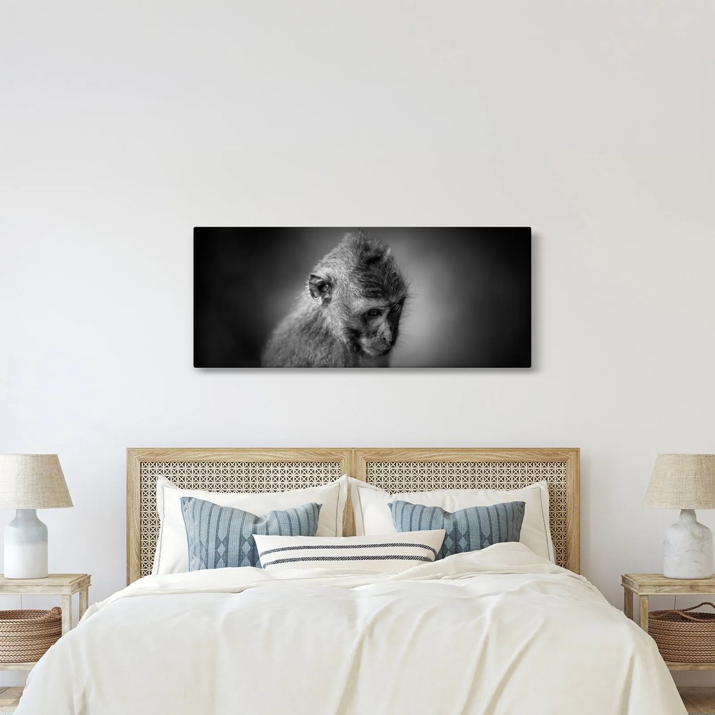 Obraz - Opička (120x50 cm)