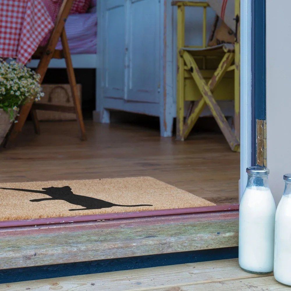 Rohožka z kokosového vlákna 40x60 cm Cat – Artsy Doormats