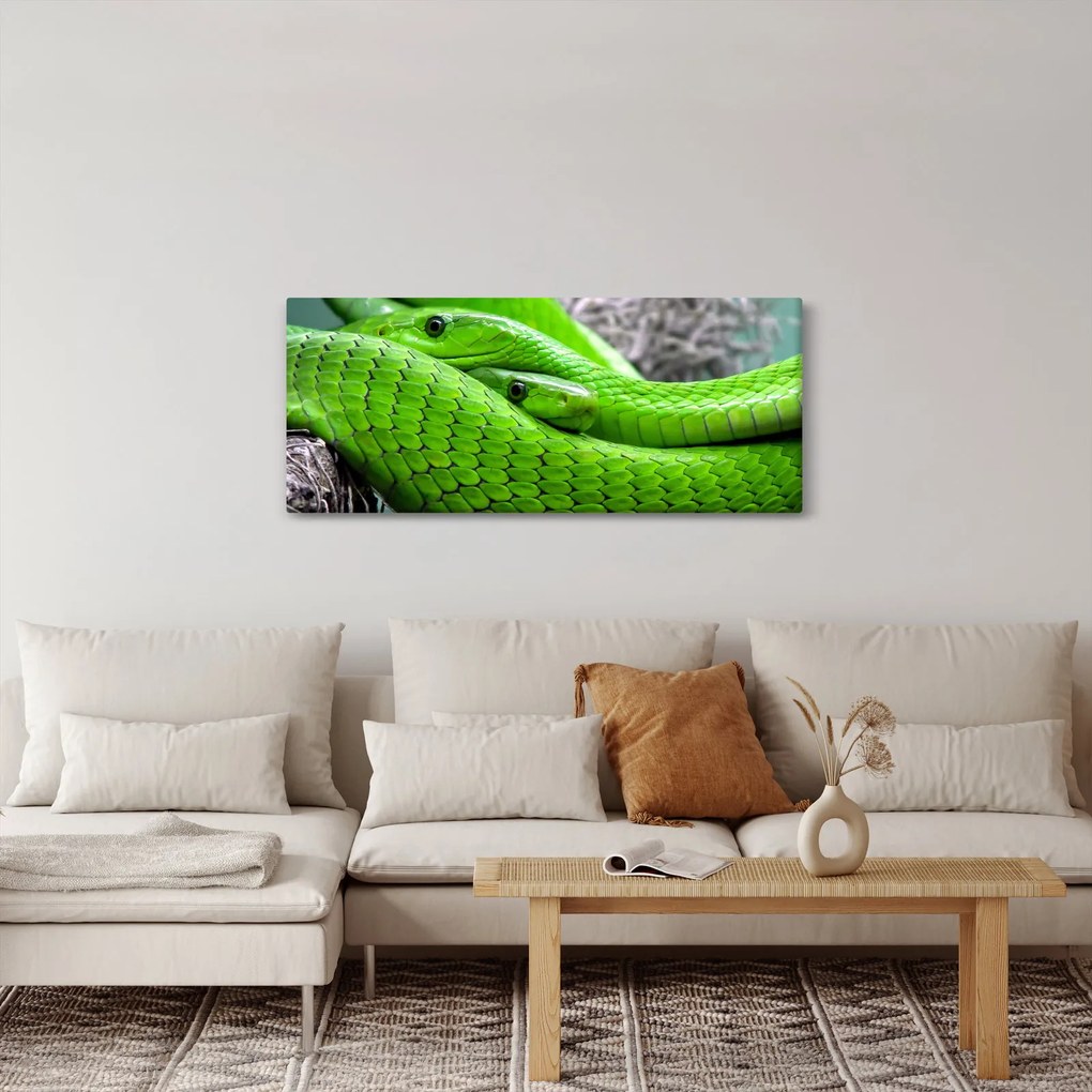 Obraz zelených hadov (120x50 cm)