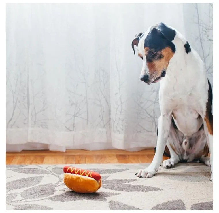 Hračka pre psa Hot Dog – P.L.A.Y.