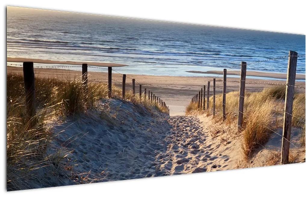 Obraz - Cesta k pláži Severného mora, Holandsko (120x50 cm)