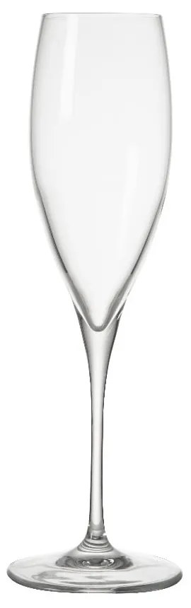 Pohár na šampanské Brandani Oblio