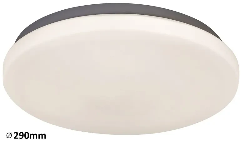 Rabalux LED stropné svietidlo Rob 1x20W | 1400lm | 4000K - priemer 29cm, biela