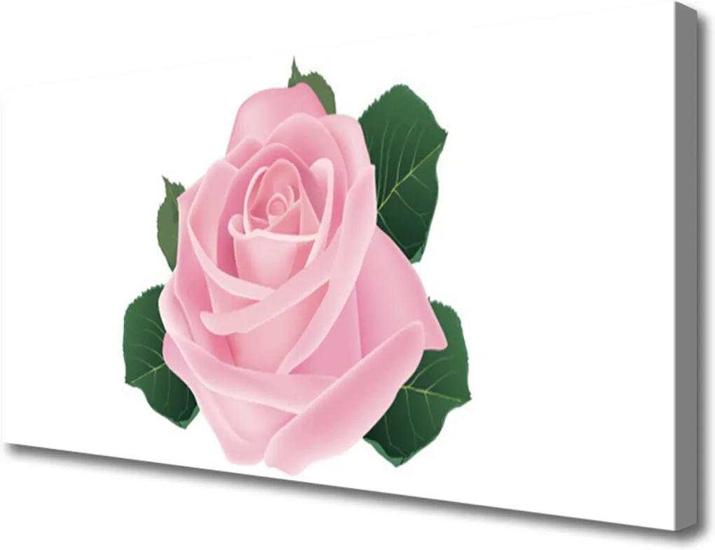 Obraz na plátně Ruže Kvet Rastlina