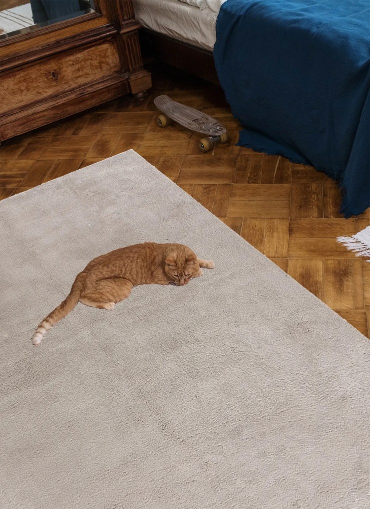 BE Koberec Modern 3795  CREAM – krémový obdĺžnikový Rozmer: 200x290 cm