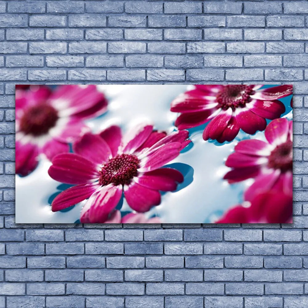 Obraz plexi Kvety na vode príroda 120x60 cm