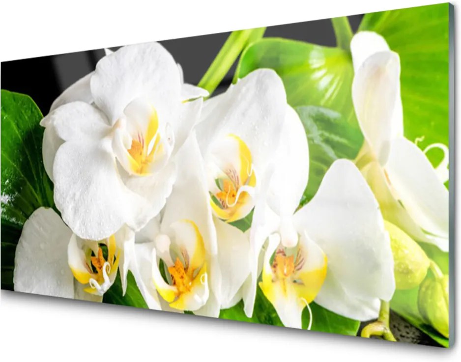 Obraz plexi Orchidea Kvety Príroda