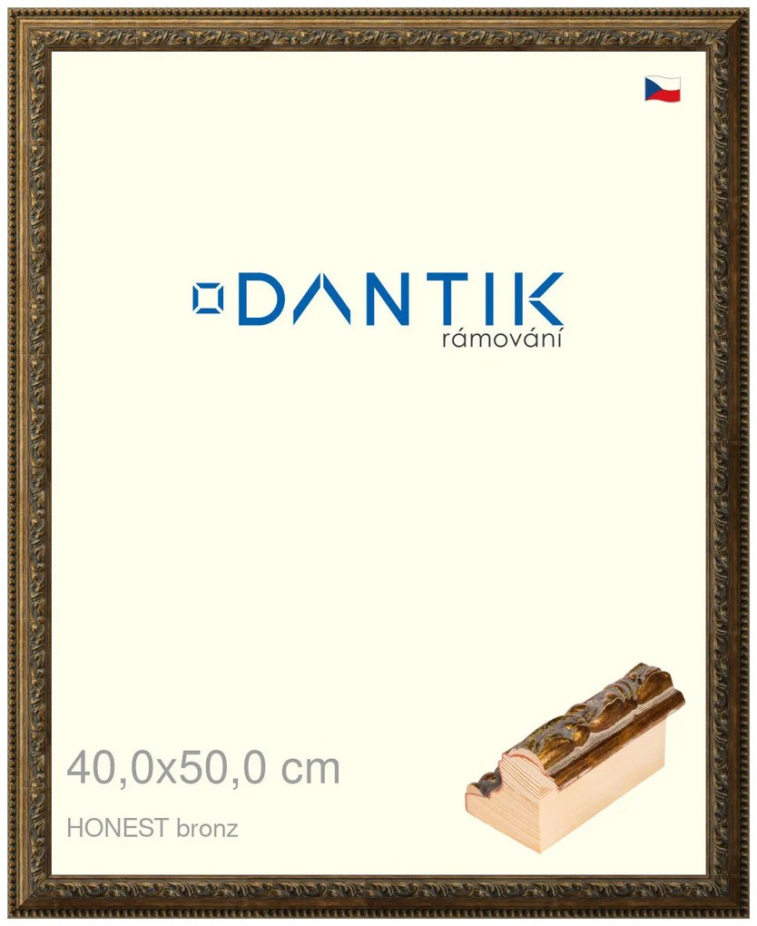 DANTIK rám na obraz 40x50 | HONEST malá vysoká bronz (Plexi Čiré)