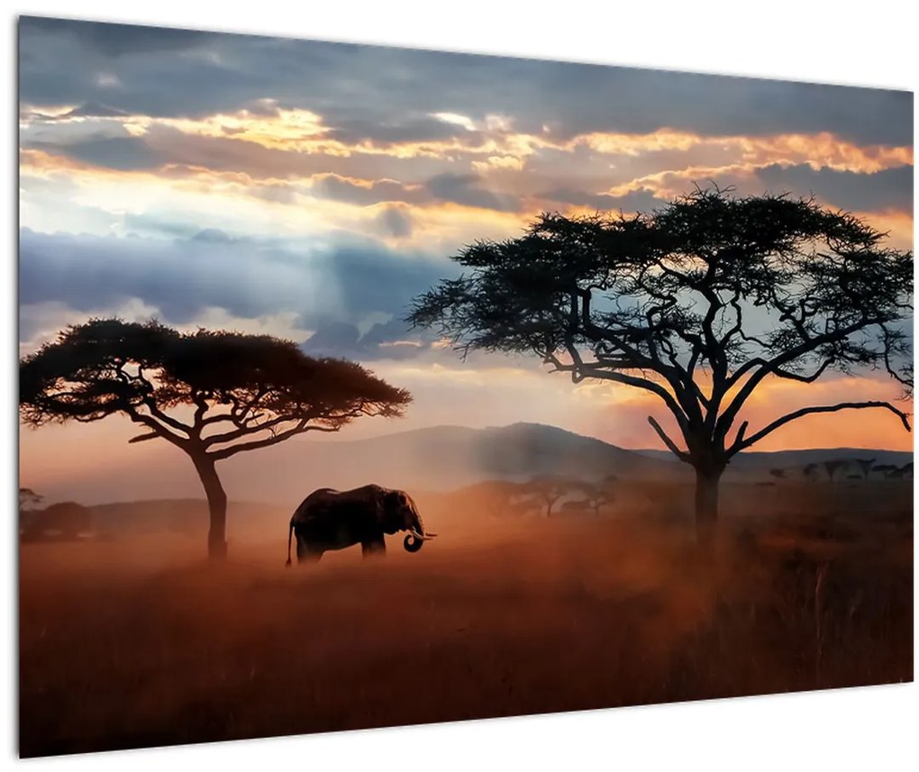 Obraz - Národný park Serengeti, Tanzánia, Afrika (90x60 cm)