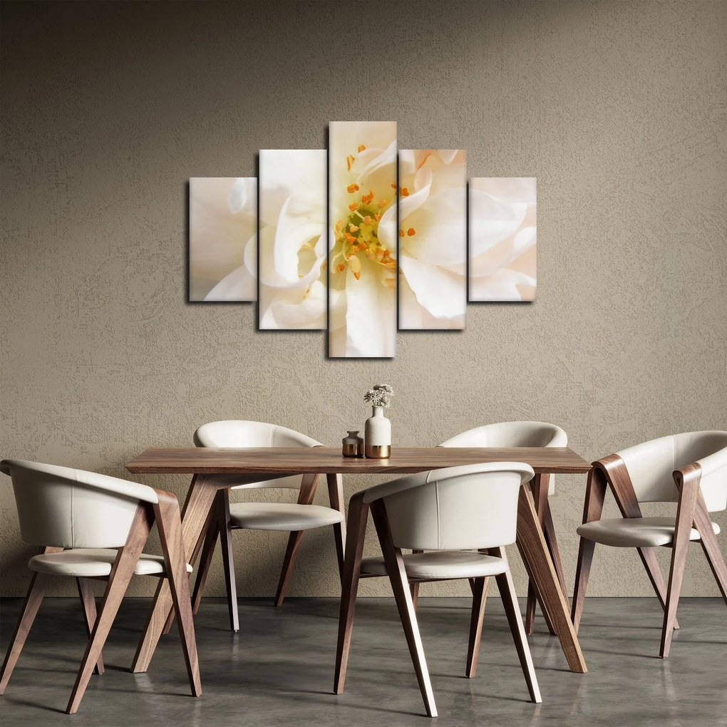 Obraz - Kvet (150x105 cm)