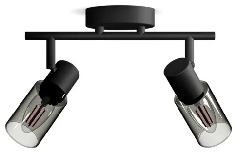 Philips - Bodové svietidlo PALMS 2xE14/25W/230V