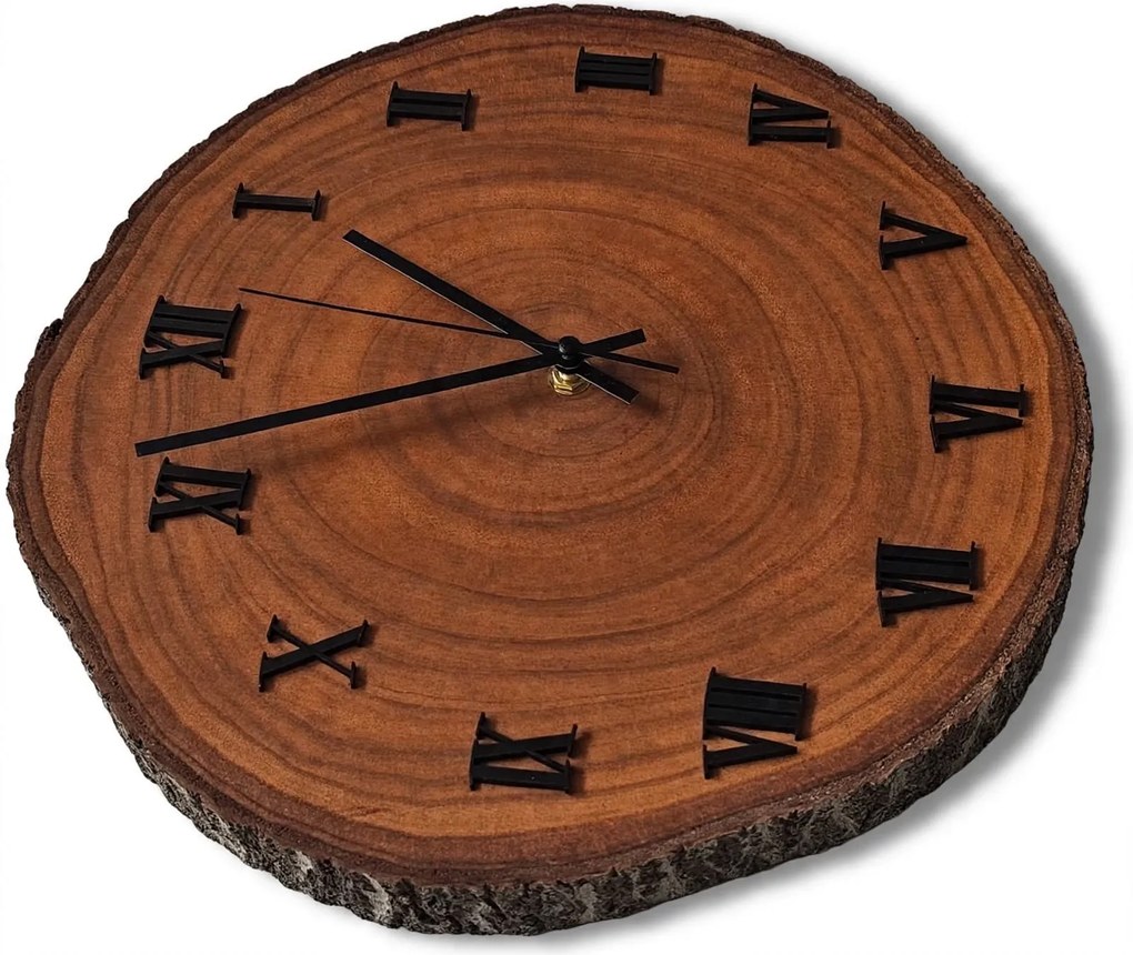 Nástenné hodiny z prierezu kmeňa | KORO: Amber - 3072 26-29 cm 4812-115559 KOR005-29-AMBER