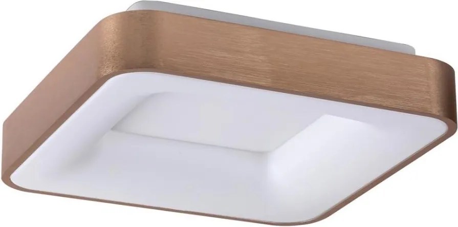Rabalux 5056 - LED Stropné svietidlo CARMELA LED/30W/230V