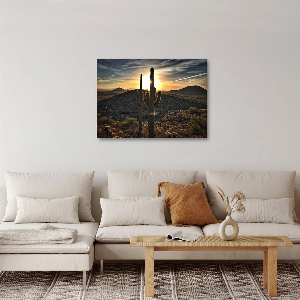 Obraz - kaktusy v slnku (70x50 cm)