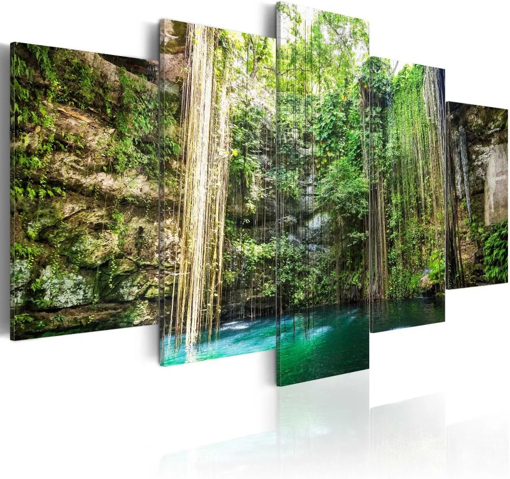 Obraz na plátne Bimago - Waterfall of Trees 100x50 cm