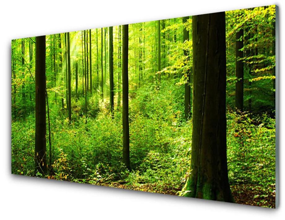 Skleneny obraz Les zeleň stromy príroda 125x50 cm