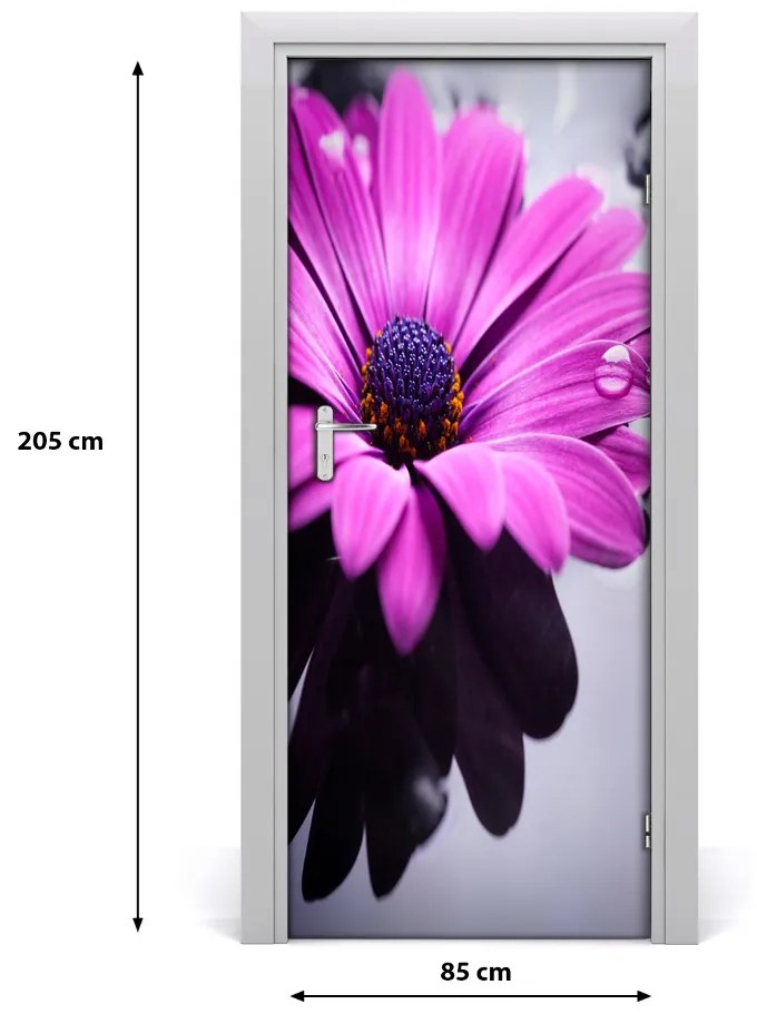 Samolepiace fototapety na dvere ružová gerbera 85x205 cm