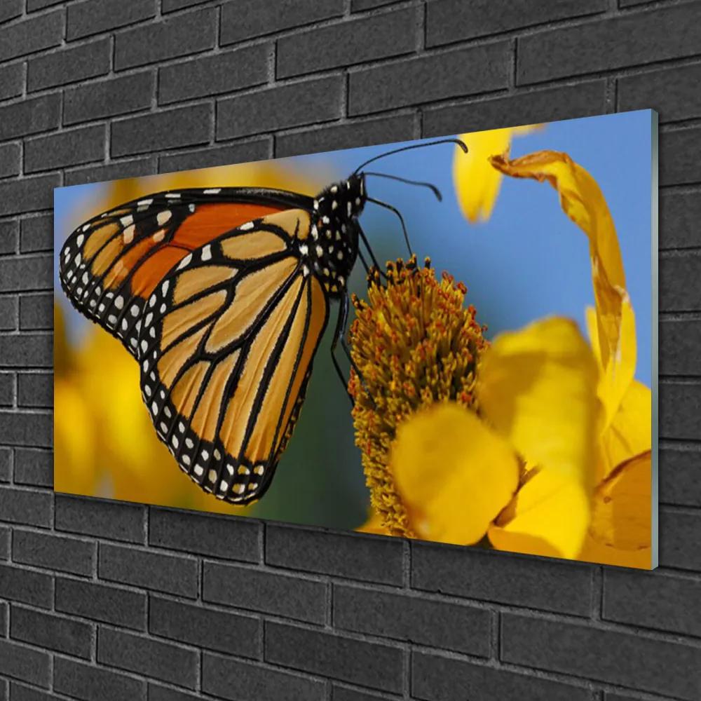 Skleneny obraz Motýľ kvet príroda 120x60 cm