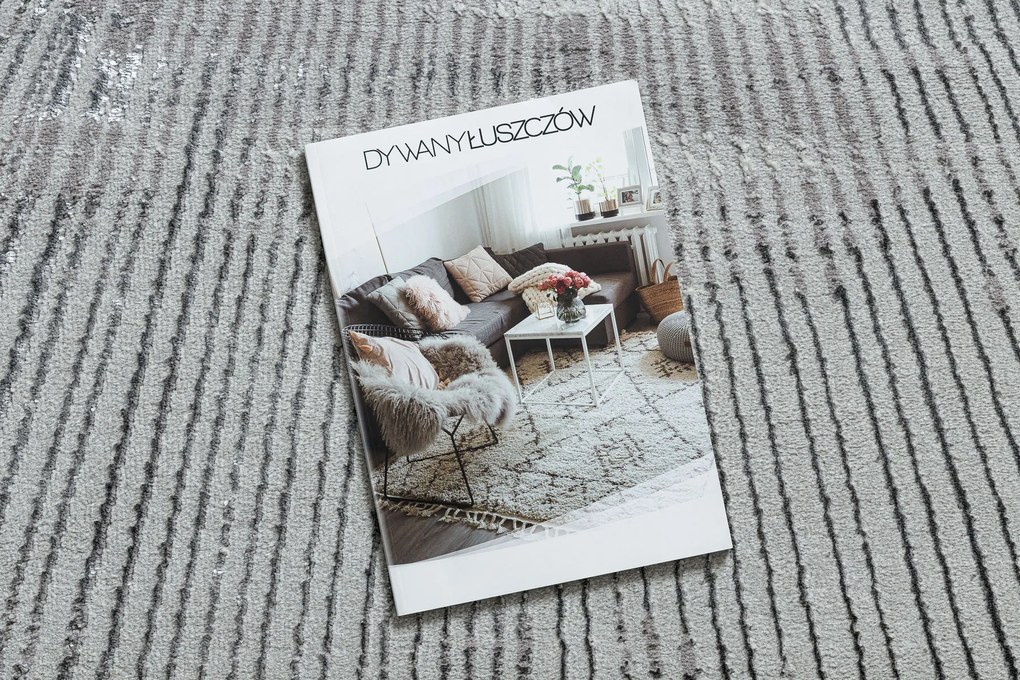 Koberec BLISS Z206AZ256 svetlosivý/sivý - Čiary, moderný, štrukturálny