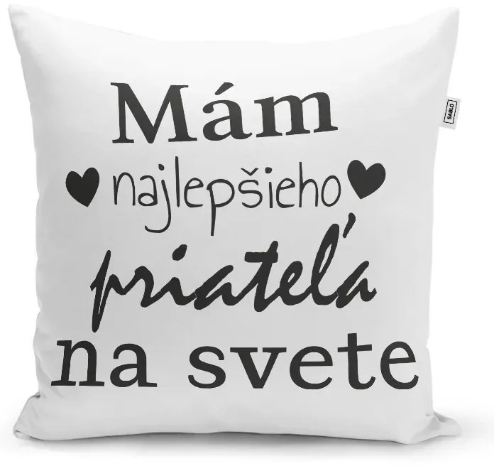 Sablio Vankúš Ja mám najlepšieho priateľa na svete: 40x40 cm