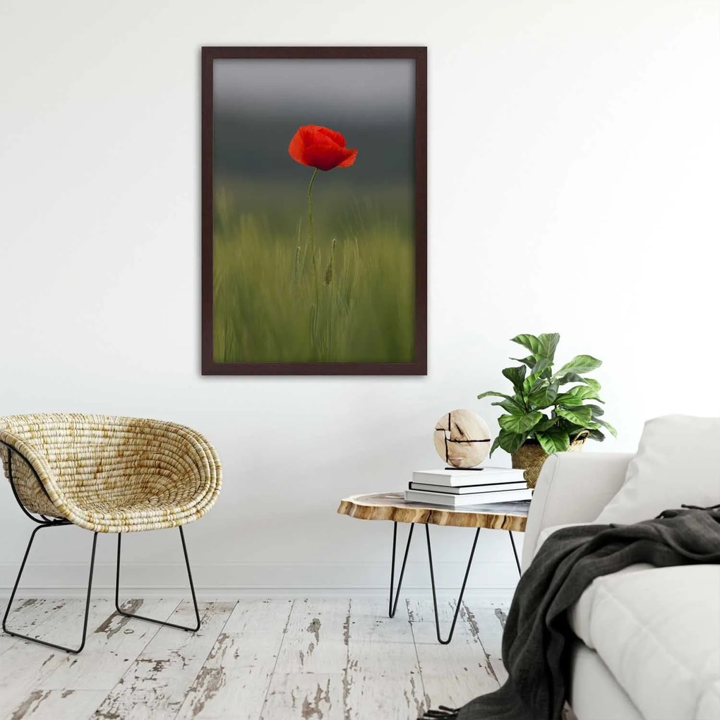 Gario Plagát Mak na poli Farba rámu: Bez rámu, Rozmery: 40 x 60 cm