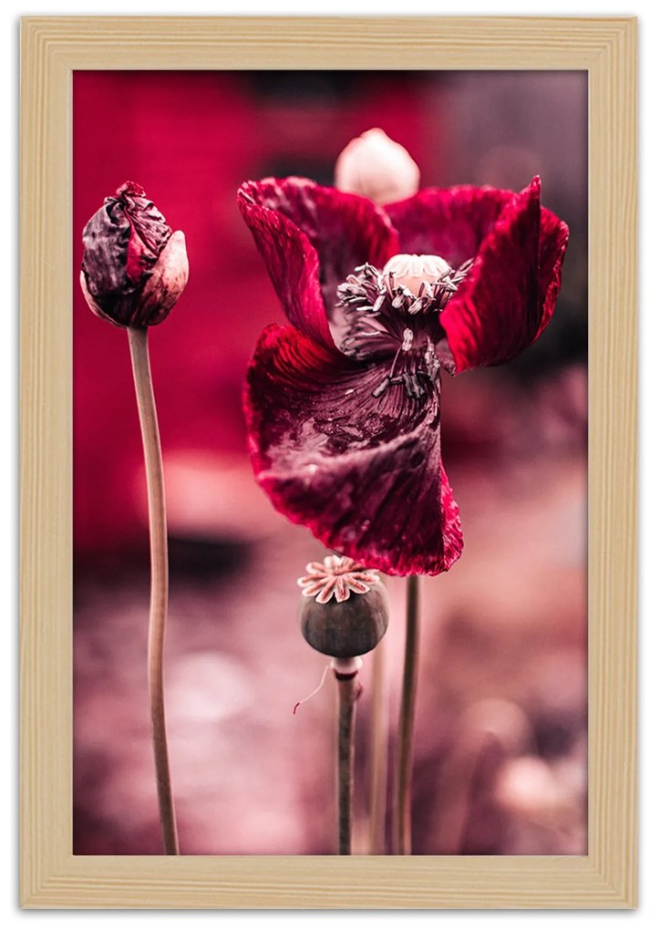 Gario Plagát Intenzívne maky Farba rámu: Bez rámu, Rozmery: 20 x 30 cm