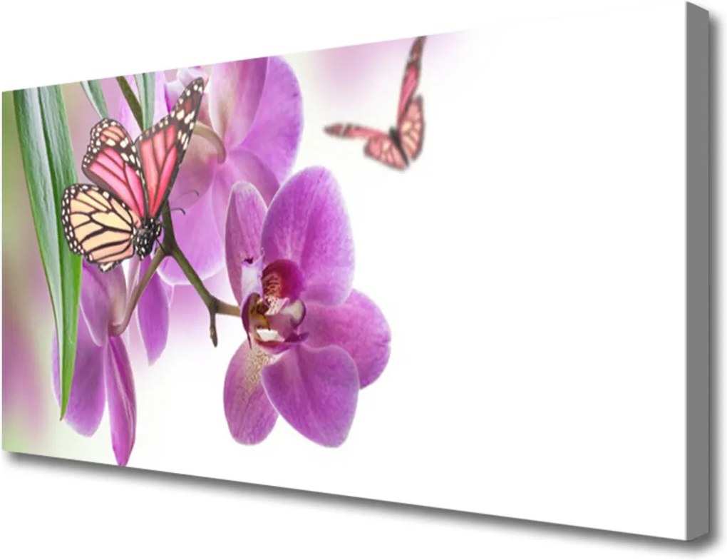 Obraz Canvas Motýle Kvety Príroda