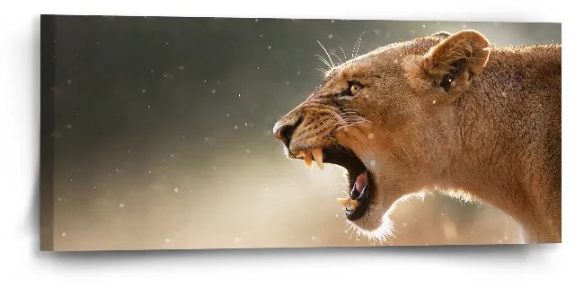 Sablio Obraz Rozzúrená levica - 110x50 cm