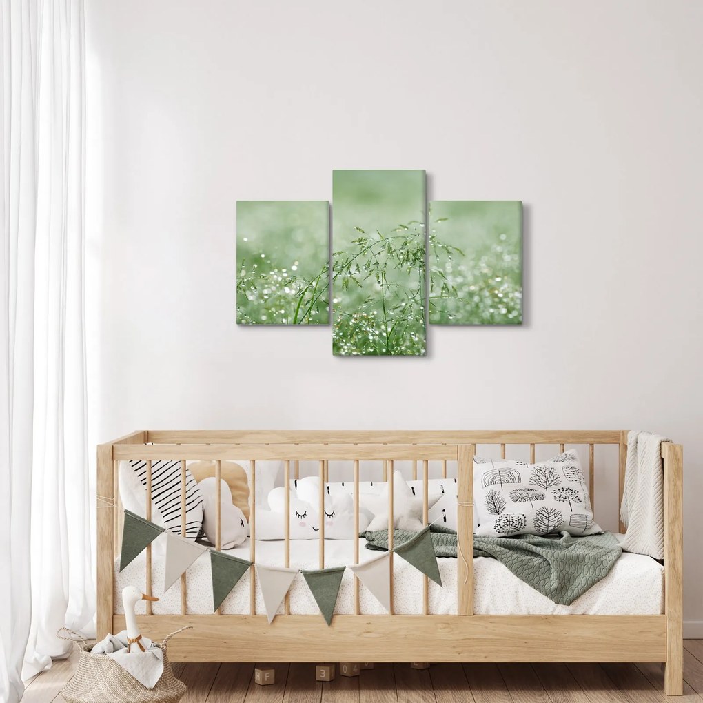 Obraz - Ranná rosa na steblach trávy (90x60 cm)