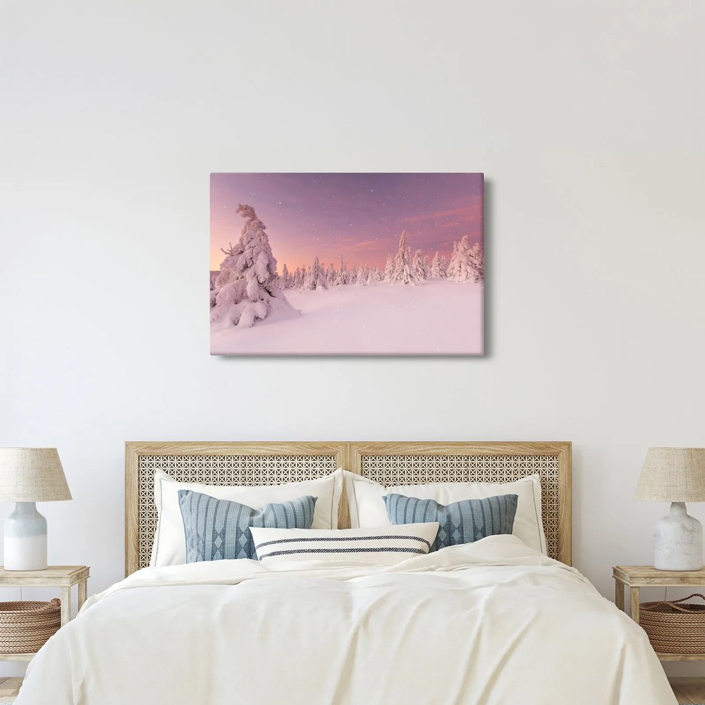 Obraz - Stromy pod snehovou prikrývkou (90x60 cm)