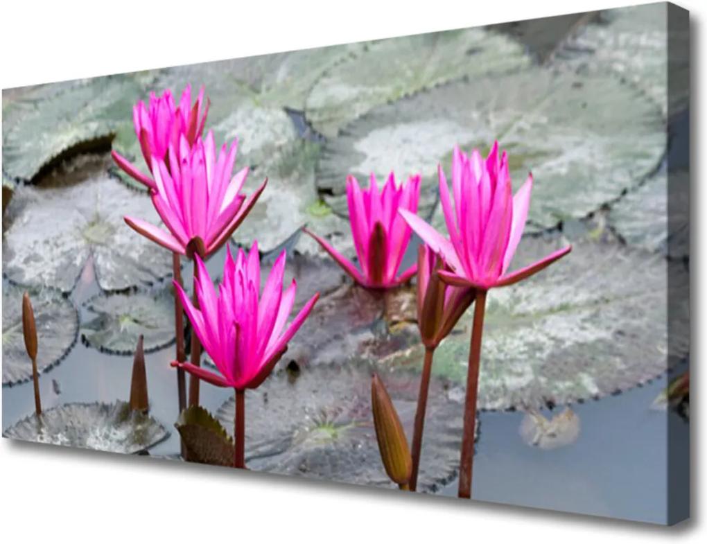 Obraz Canvas Květiny rostlina příroda