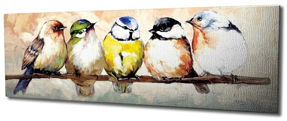 Obraz Vtáky 30x80 cm