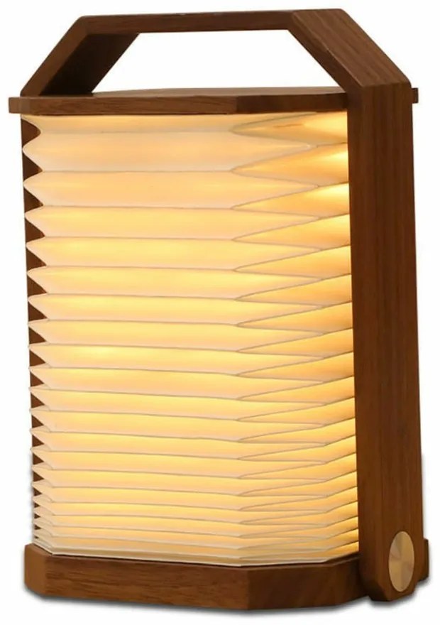 Biela/tmavo prírodná svetelná dekorácia na USB Origami – Gingko