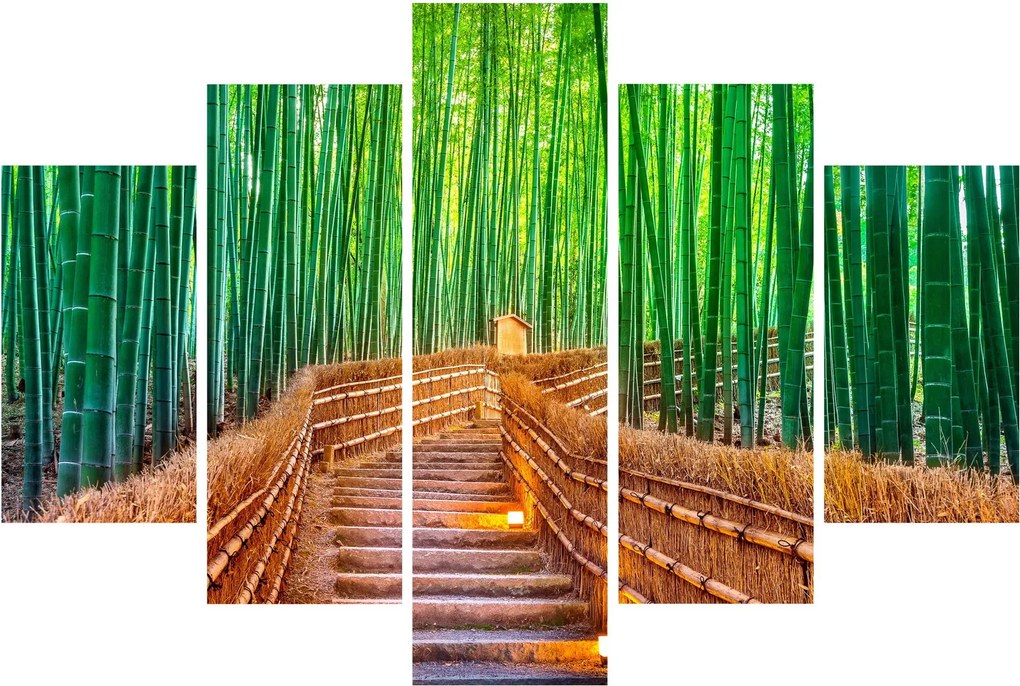 Obraz - Japonský bambusový les (150x105 cm)