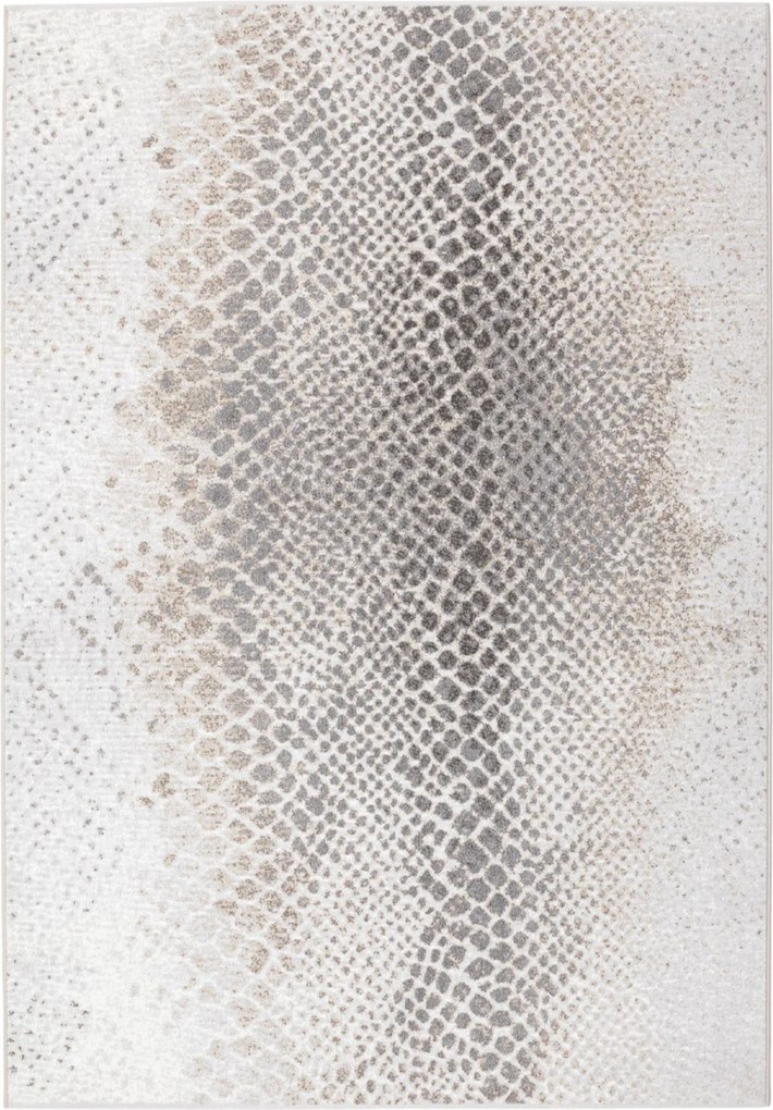 Osta 120x170 cm Kusový koberec Piazzo 12263 910, šedá, chodba / predsieň