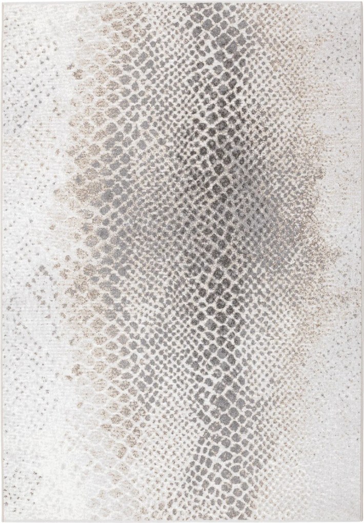 Osta, AKCIA: 120x170 cm Kusový koberec Piazzo 12263 910, šedá, chodba / predsieň