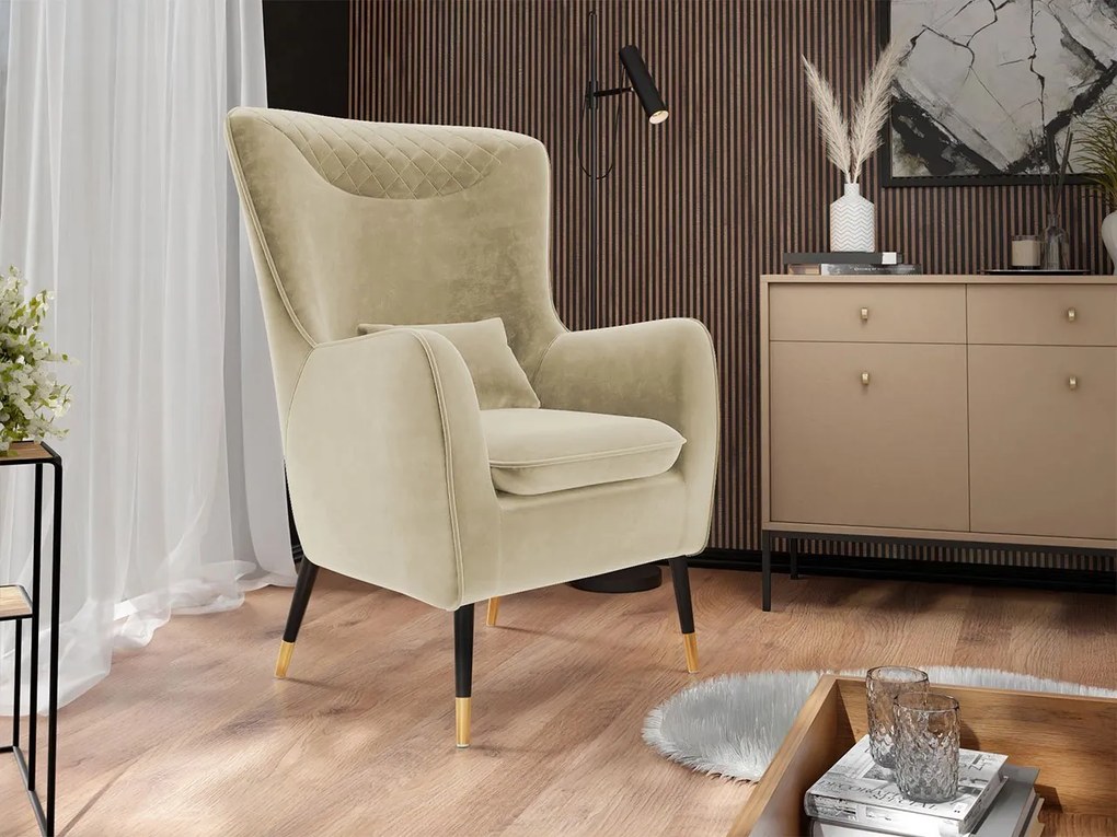 Čalúnené kreslo Arisean, Dostupné poťahy: Magic Velvet 2227