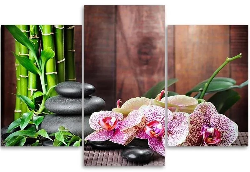 Gario Obraz na plátne Orchidea, bambus a kamene - 3 dielny Rozmery: 60 x 40 cm