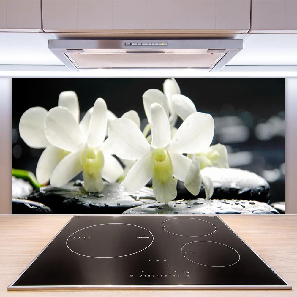 Sklenený obklad Do kuchyne Kamene kvety orchidea 125x50 cm