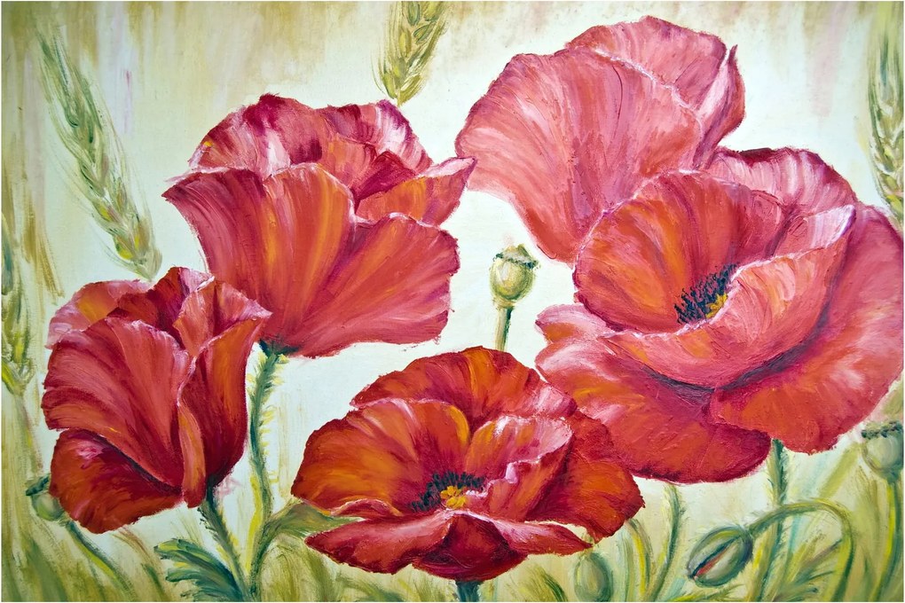 Obraz - Kvety vlčích makov (90x60 cm)
